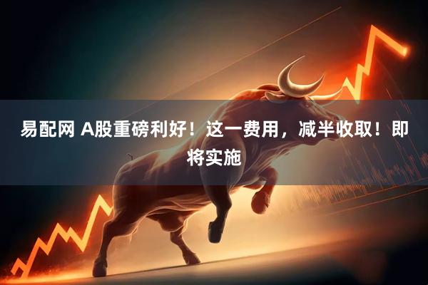 易配网 A股重磅利好！这一费用，减半收取！即将实施