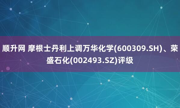 顺升网 摩根士丹利上调万华化学(600309.SH)、荣盛石化(002493.SZ)评级