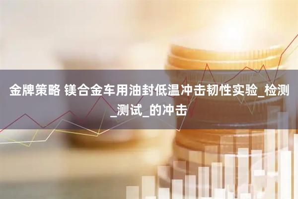 金牌策略 镁合金车用油封低温冲击韧性实验_检测_测试_的冲击