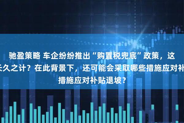 驰盈策略 车企纷纷推出“购置税兜底”政策,这是否为长久之计?在此背景下,还可能会采取哪些措施应对补贴退坡?